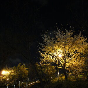 [DSC-WX1] 044.jpg